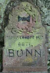 Haicot Bonn monument 2 compressed