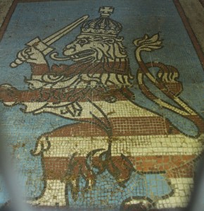 Haicot lion compressed