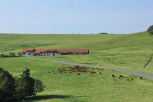 Ballon d'Alsace ferme