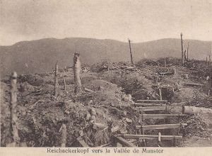 12 Reichackerkopf vers la Vallée de Munster