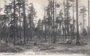 13 Wettstein cimetière Orbey