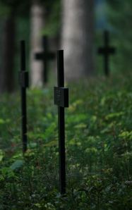 Trois Epis German Cemetery 1