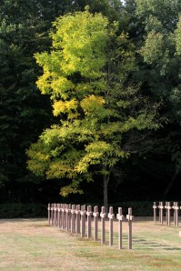 Col  de la Chipotte segment (N)