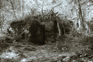 09 Reclaimed by nature