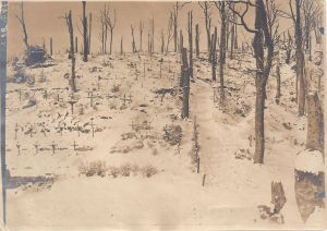 HWK German graves in the snow